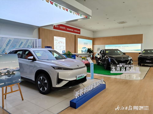 內(nèi)江第三十五屆汽車文化周│內(nèi)江車易通汽車銷售服務 長長長續(xù)航智混suv 等你來體驗